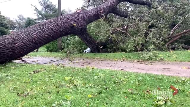 Storm Fiona Flooding and damage in southeastern New Brunswick