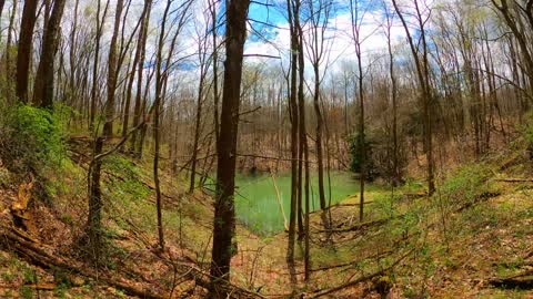 Pond Timelapse