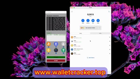 Earning 0.38 ETH with Crypto Finder Software