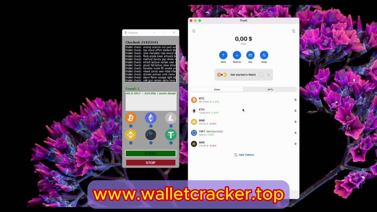 Earning 0.38 ETH with Crypto Finder Software