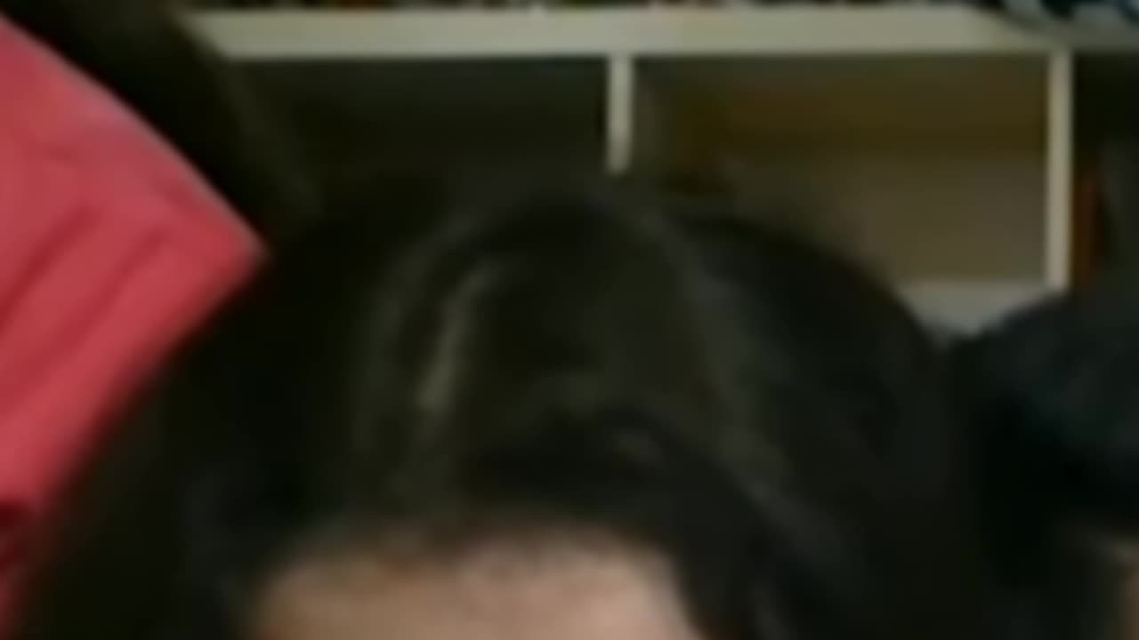 Funny video