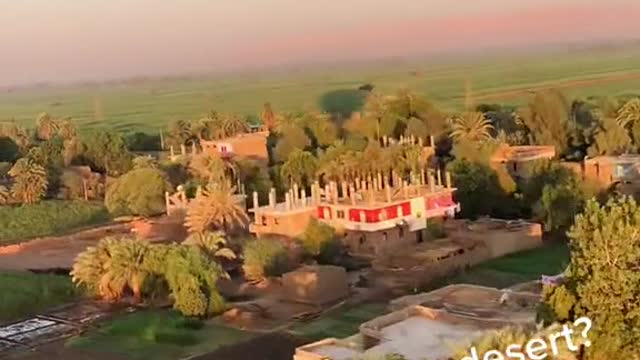 HAVE YOU EVER SEEN AHOT AIR BALLOONINFLATE?