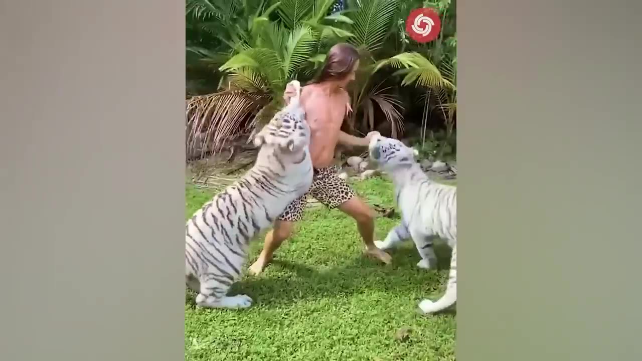 Animals gros up - I'm a big kid now from baby animals tout adult animals