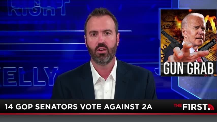 John Cornyn And The 14 GOP RINOs