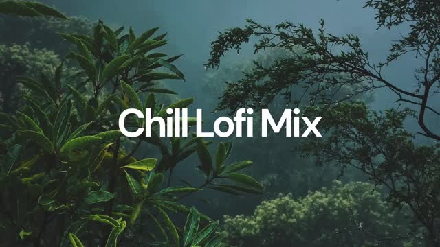 chillhop HIP-HOP music