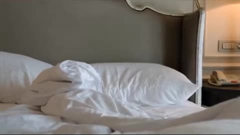 Why hotel bedsheets are in white colour