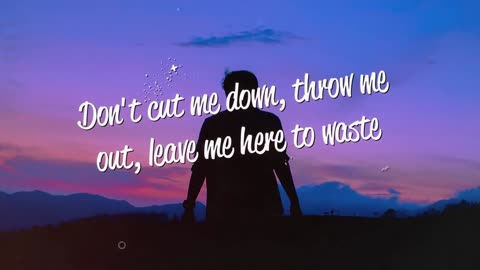 Alec Benjamin Let Me Down Slowly Lyrics