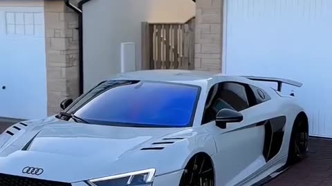 Car lovers