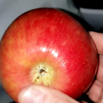 $3.35 for one freakin' apple!