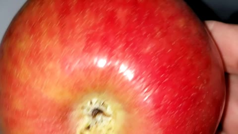 $3.35 for one freakin' apple!