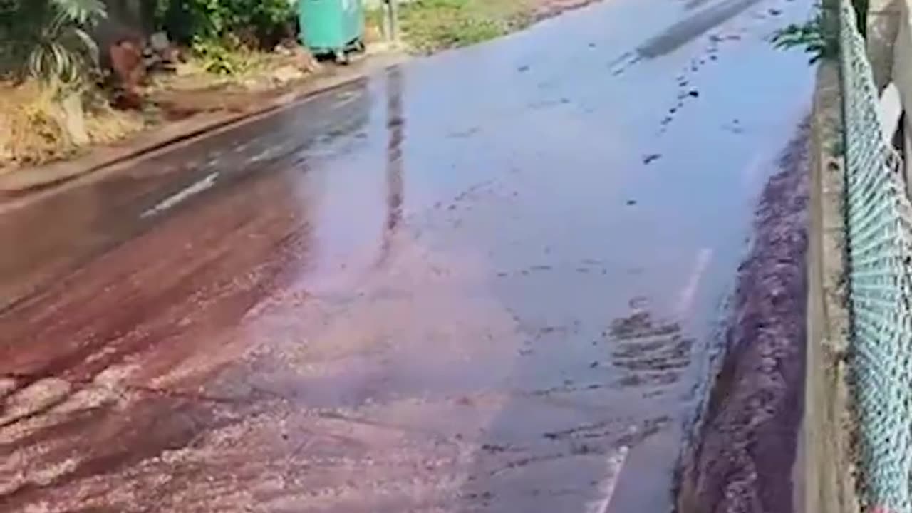 River of Wine Pours Down Streets of Levira, Portugal