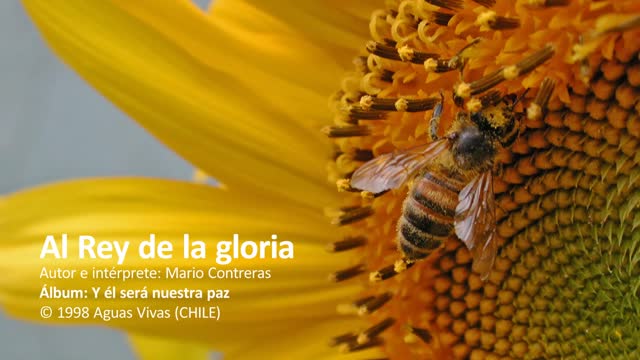 Al Rey de la gloria - 2
