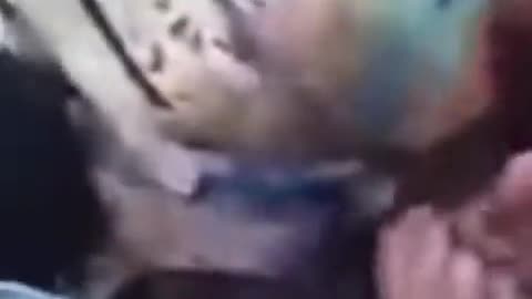 ΤΡΕΛΑΘΗΚΕ ΜΕ ΤΟΝ ΕΡΝΤΟΓΑΝ Η ΘΕΙΑ