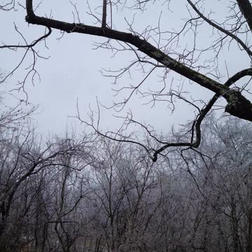 They really missed this one!