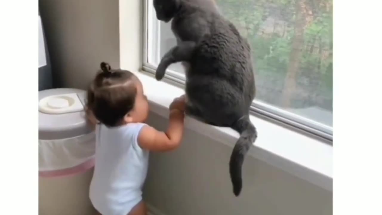 Baby playing with the cat 🐱 !! Each till end!! Hilarious cat and baby video!! 🐱