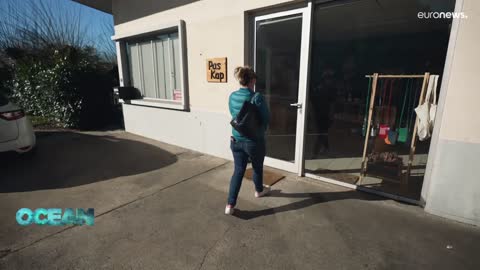 An ocean of opportunities_ the women transforming the blue economy