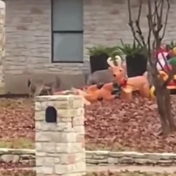 Taking out imposters