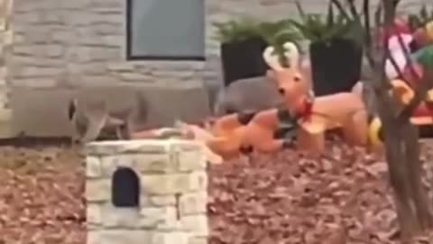 Taking out imposters