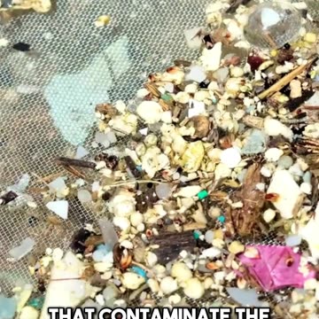 Plastic wraps are destroying your hormones!