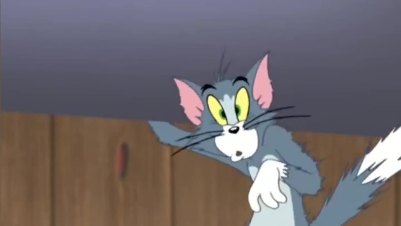 Tom and Jerry Lovers | Funny Cartoon Videos | Tom and Jerry