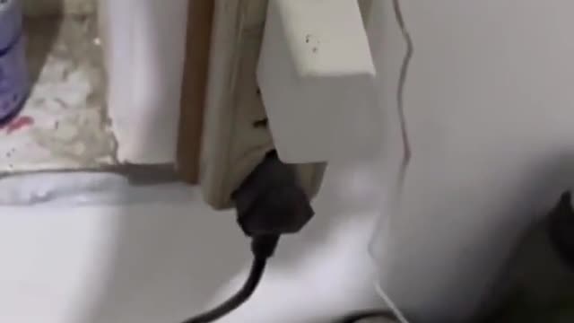 Would it hurt the fly