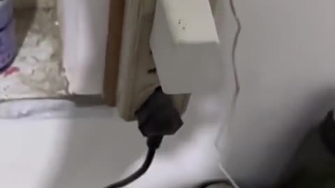 Would it hurt the fly