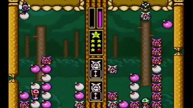 Warios Woods SNES