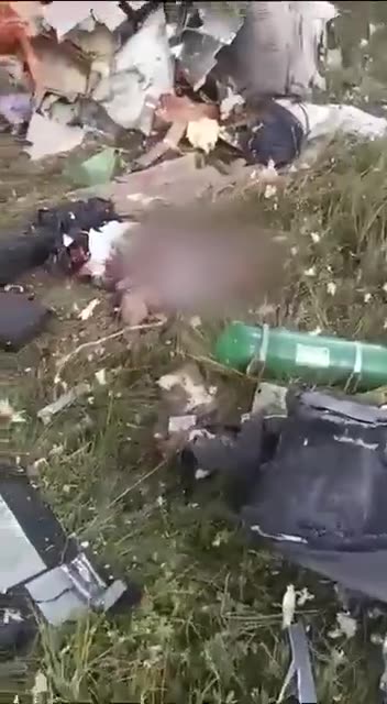 Aufnahmen von der Absturzstelle zirkulieren bereits