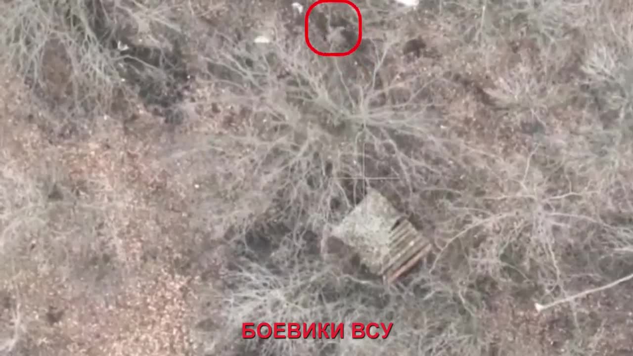 Drone operators of the 3rd separate motorized rifle brigade are working on Ukrainian infant