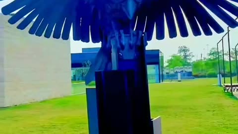 Green beautiful garden in Kuwait | #shorts #video #foryo #amazing #viral #tranding