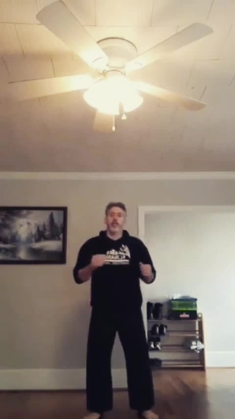 Roundhouse Kick Spinning Kick