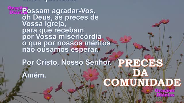 Santo do dia 23 de outubro, São João de Capistrano