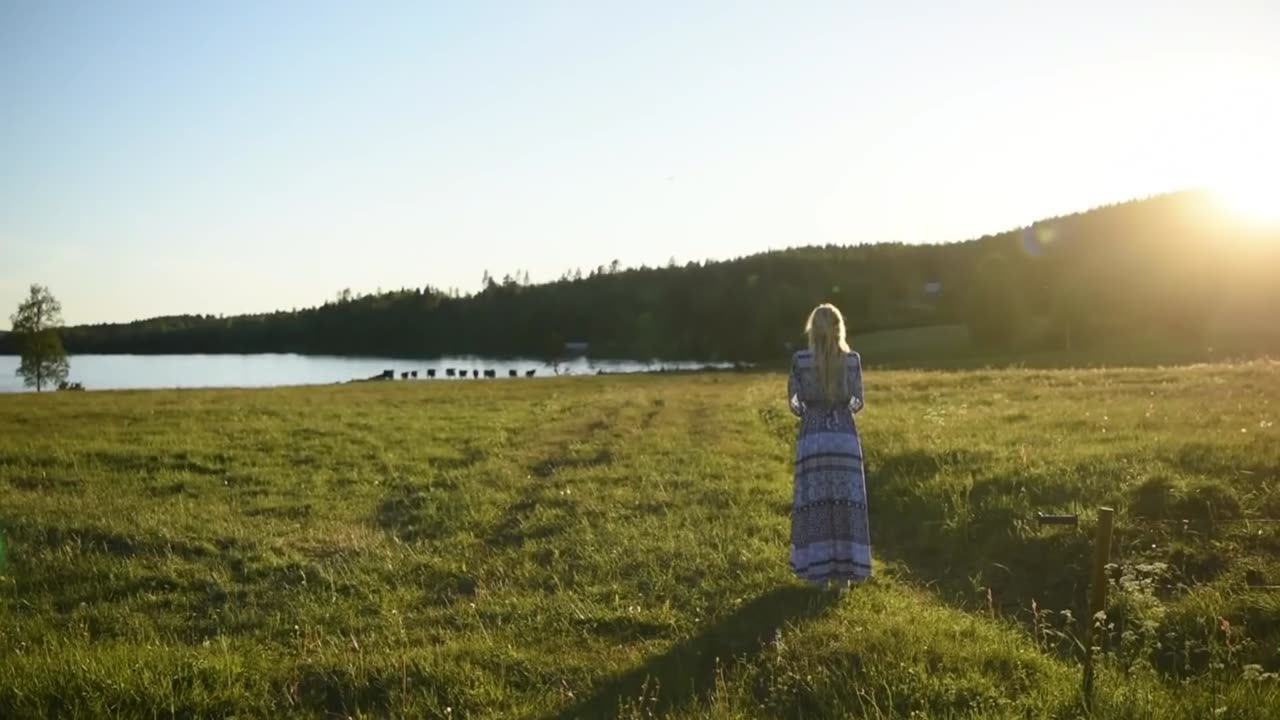 ANIMALS and POWER OF MUSIC 🎼🎷📢 (1080p)