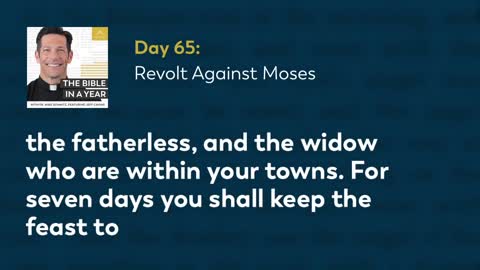 Day 65: Revolt Against Moses — The Bible in a Year (with Fr. Mike Schmitz)