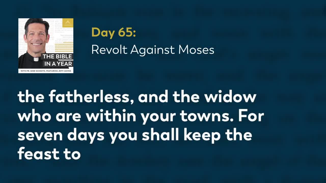 Day 65: Revolt Against Moses — The Bible in a Year (with Fr. Mike Schmitz)