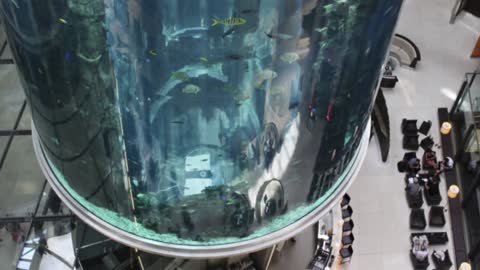 World’s largest cylindrical aquarium explodes (VIDEO)