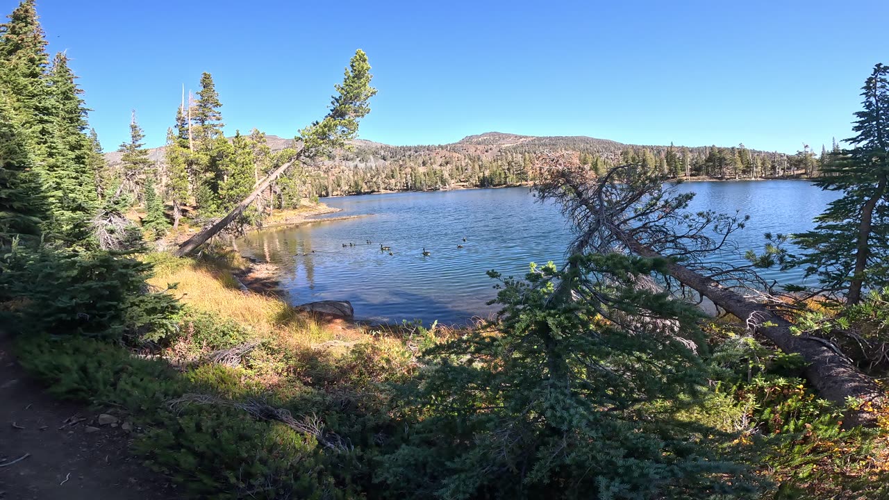 [Hiking] Pacfic Crest Trail (PCT) at Susie Lake w/wildlife