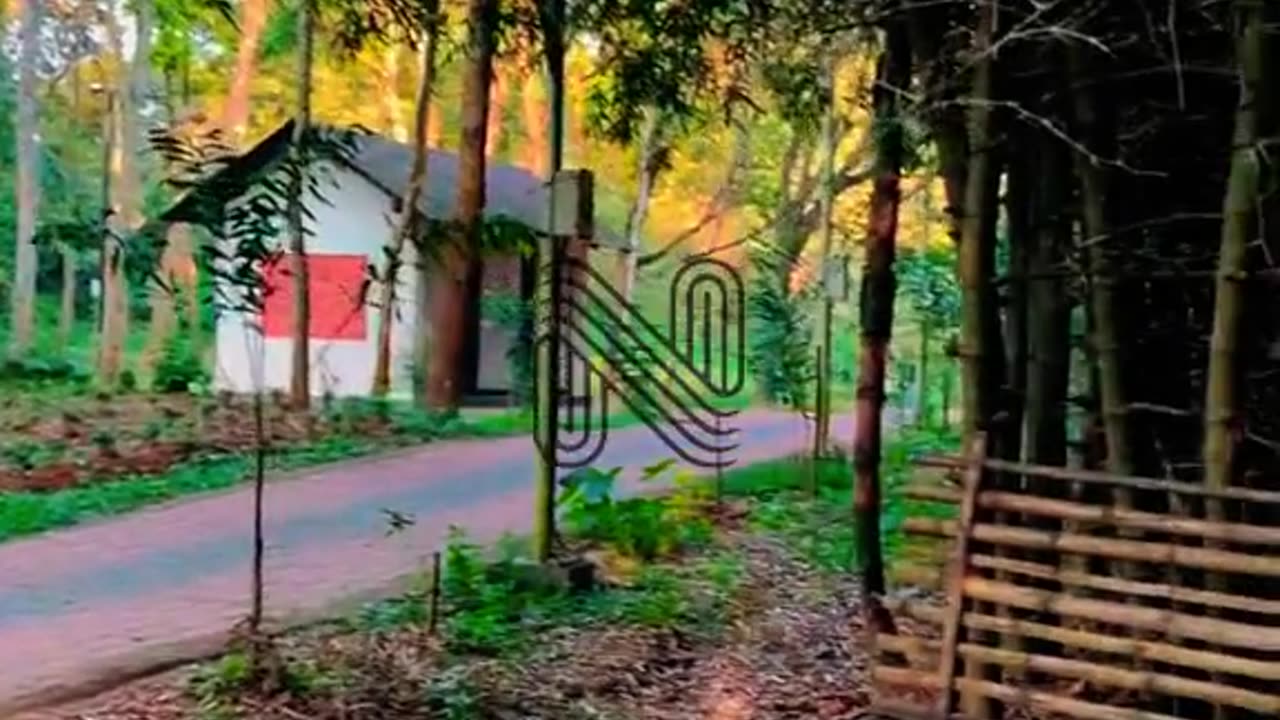 Wayanad Wonders: Exploring Nadukani Estate's Natural Beauty