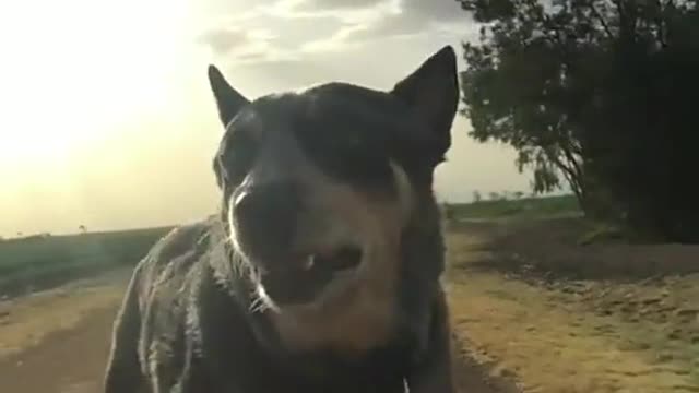 You never forget your first 🥺