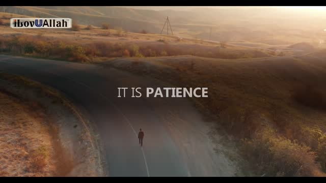 ADVICE FROM ALLAH FOR PROBLEMS IN LIFE