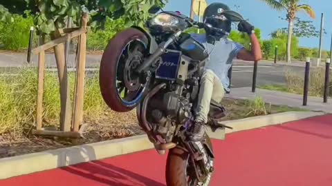 The boys was amazing ...Bike stunts.