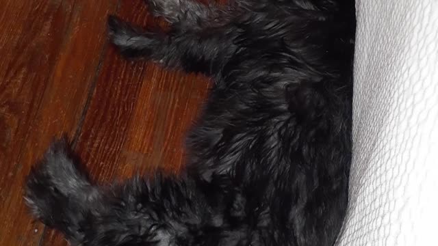 Onyx