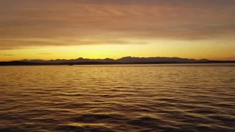 Relaxing Music | Sleeping, Meditation, Stress Relief | [6121] ⭐️