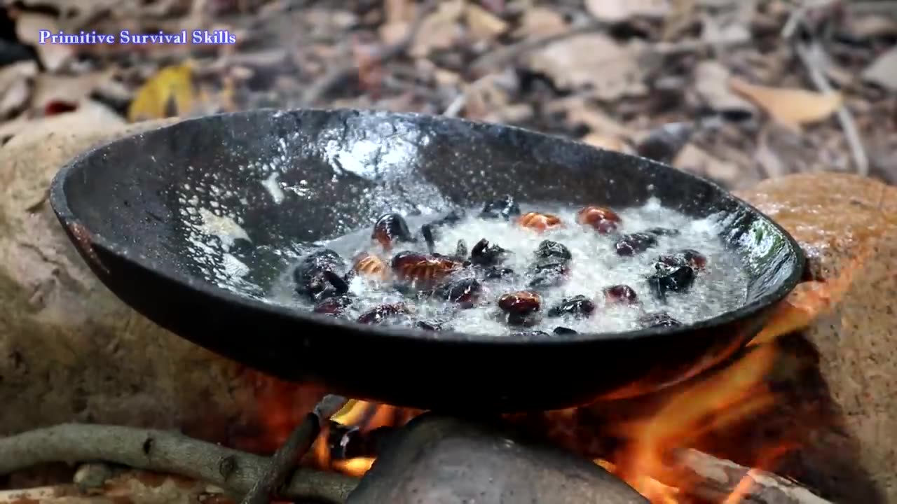 FIND CATCH INSECTS ON TREE FOR FOOD - COOK INSECTS FOR DELICIOUS EAT, PRIMITIVE SURVIVAL SKILL 🍳🍳🍳