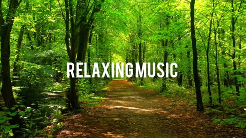 Relaxing Music | Sleeping, Meditation, Stress Relief | [7753] ⭐️