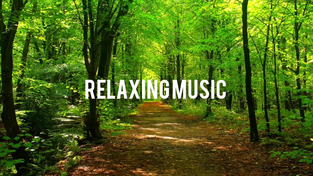 Relaxing Music | Sleeping, Meditation, Stress Relief | [7753] ⭐️