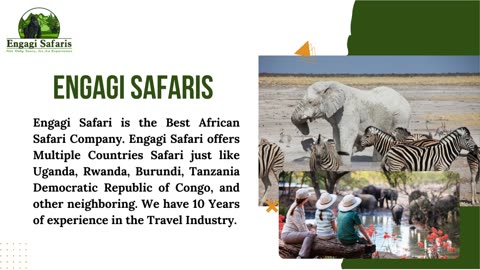 Top 4 African Safari Tour Operators