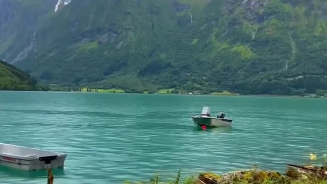"Mountain Lake Oasis"