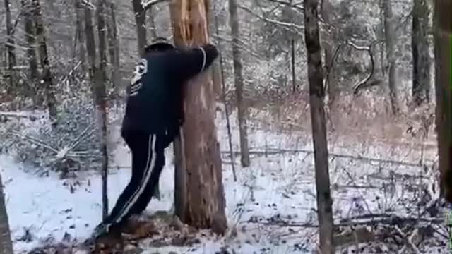 Person Pushes Tree, Tree Pushes Back