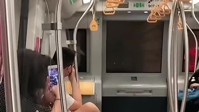 Trapped bat flies around in train cabinon downtown lineto